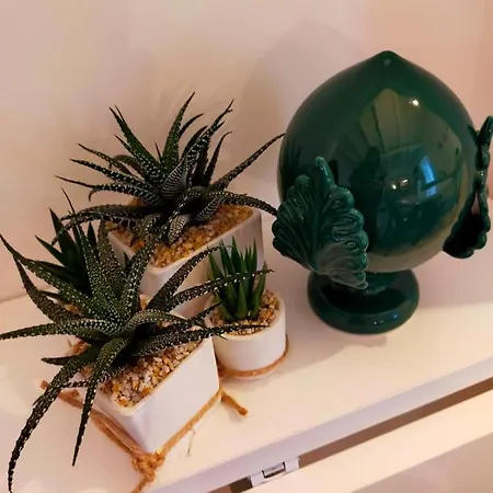 Comes Διαμέρισμα